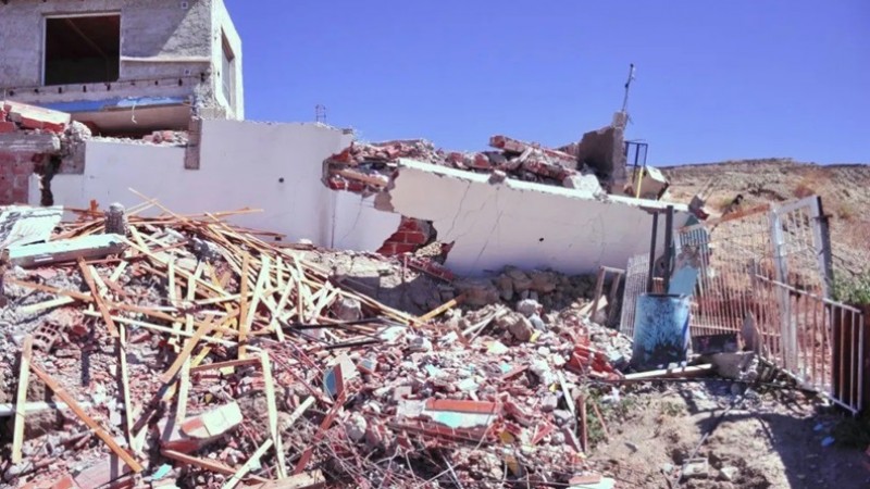 Buscan hogares de tránsito para cinco perros de una familia evacuada por el Cerro Hermite