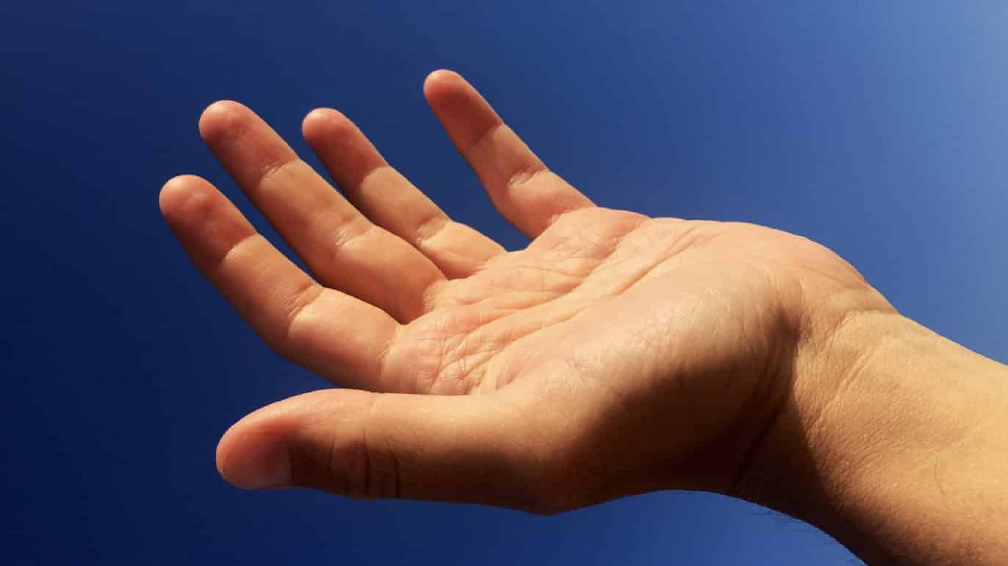 Macabro hallazgo en las afueras de Caleta Olivia