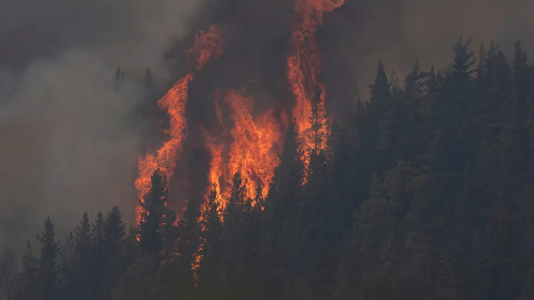 Alerta amarilla para la cordillera: advierten que las altas temperaturas agravan el riesgo de incendios