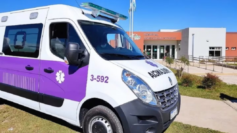 Horror: una nena de 10 años fue apuñalada por un hombre condenado por femicidio