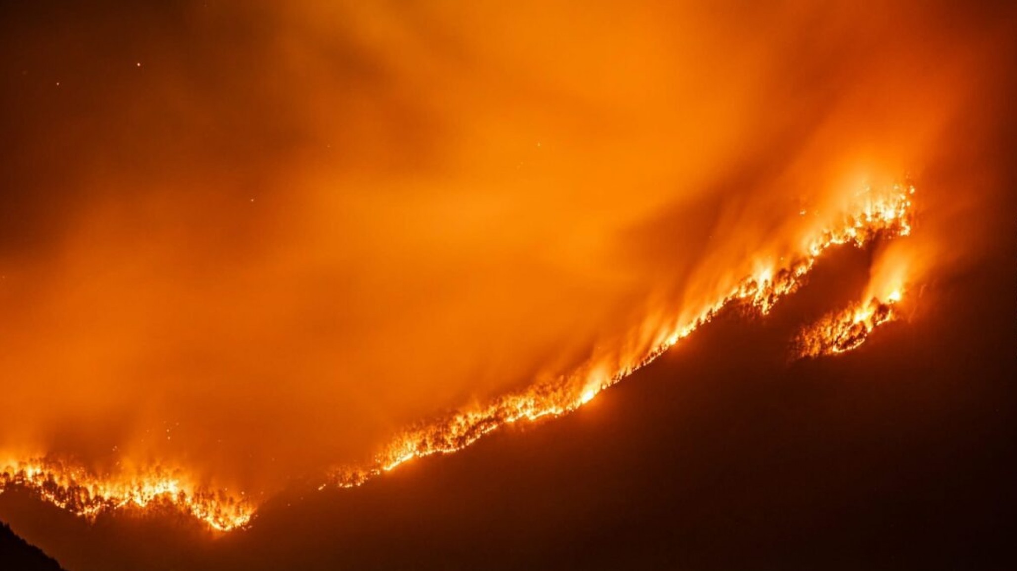 Incendio en Los Alerces: refuerzan el operativo y estiman en 10 mil hectáreas la superficie afectada