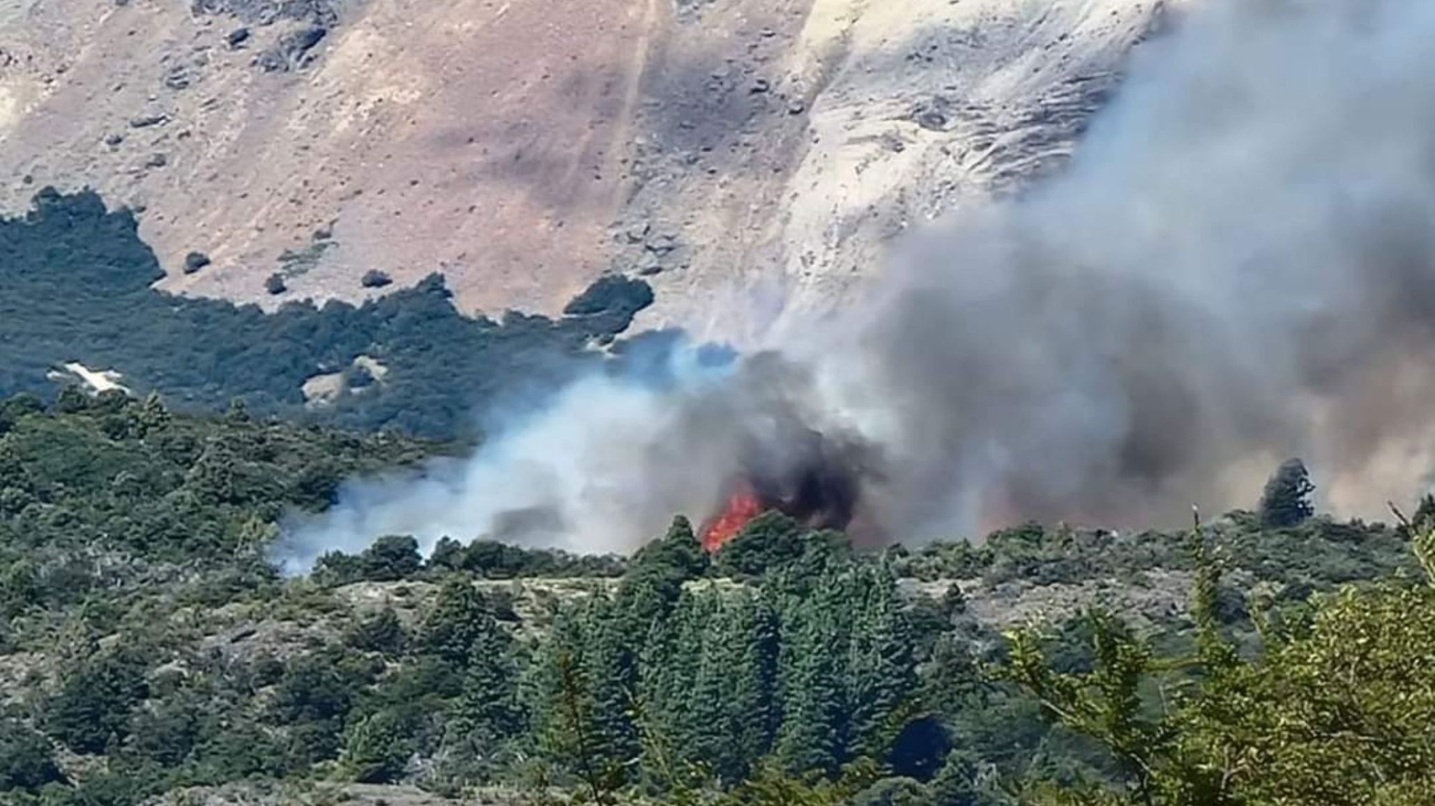 Emergencia 韌nea y causas judiciales: intervienen el Parque Nacional Los Alerces