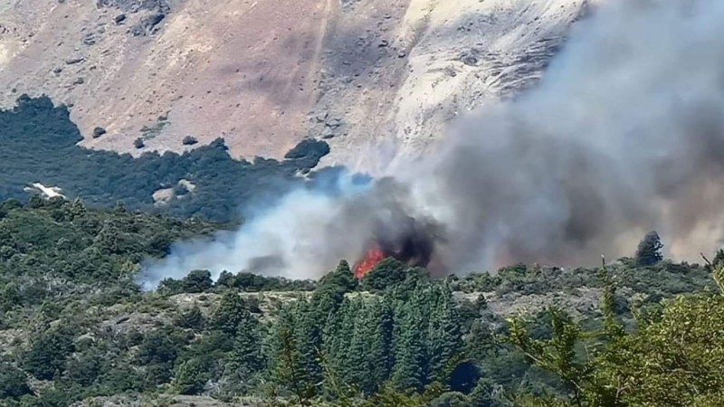 Emergencia ígnea y causas judiciales: intervienen el Parque Nacional Los Alerces
