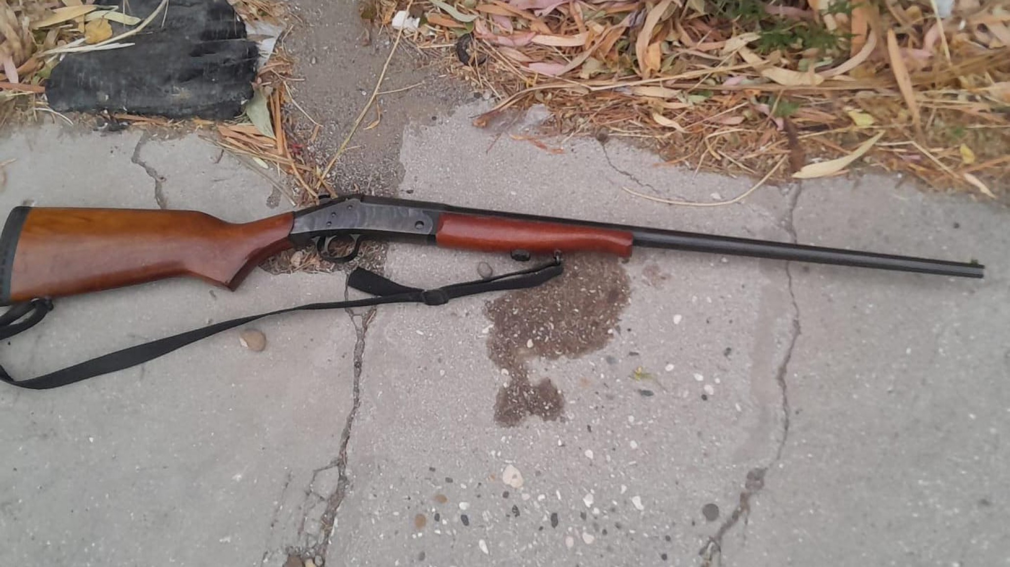 Alertaron por disparos en una vivienda y secuestraron un arma de fuego