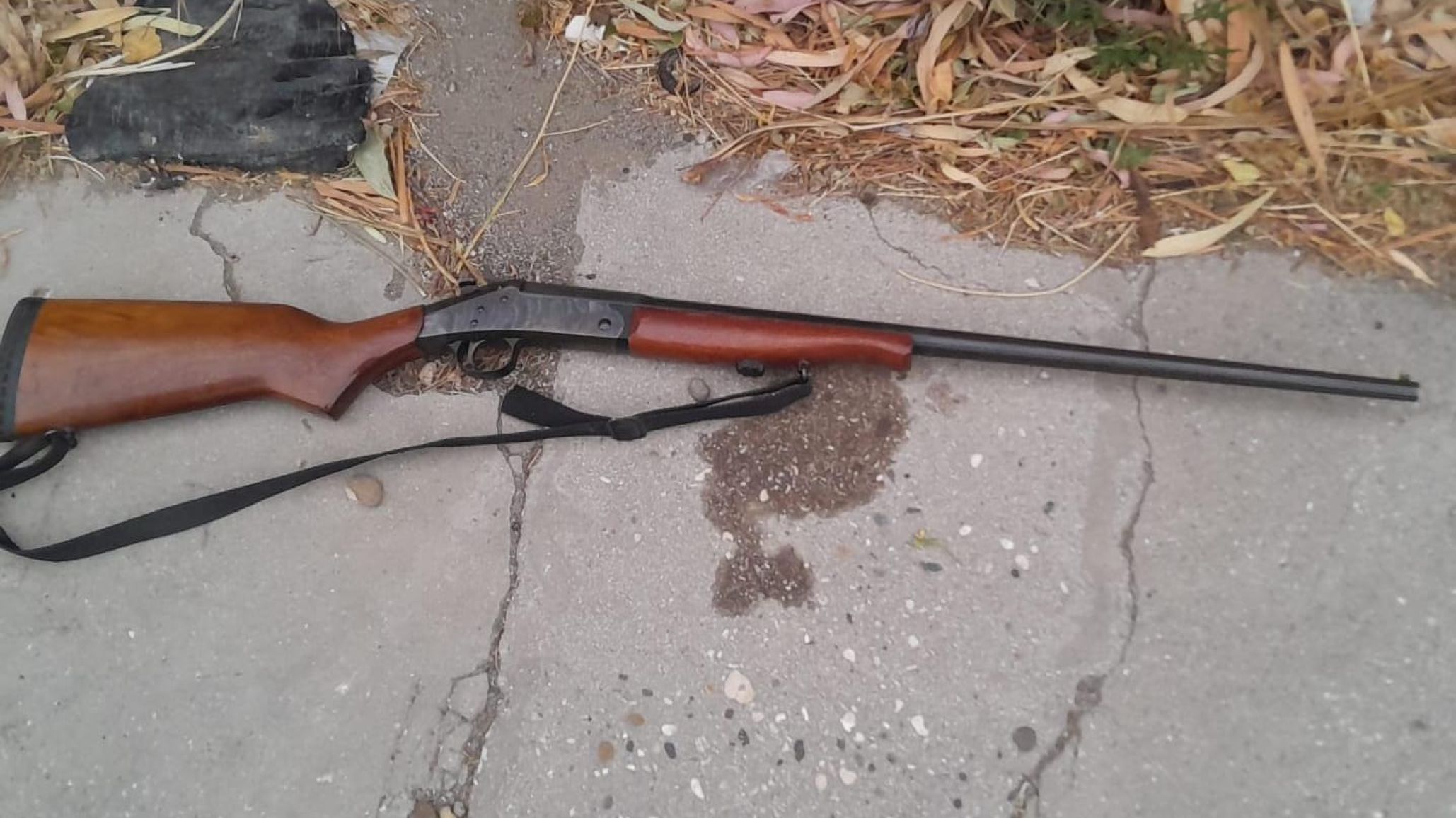 Alertaron por disparos en una vivienda y secuestraron un arma de fuego