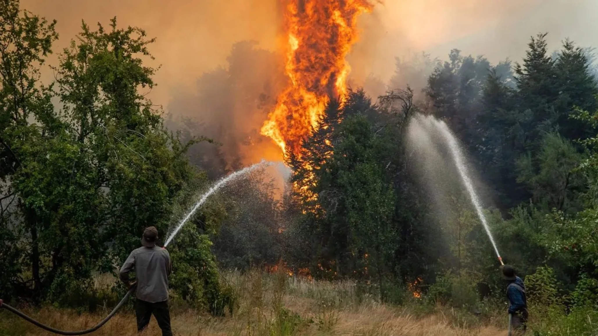 Tras el pedido por la Ley de Emergencia, el gobierno enviará 100 mil millones para combatir los incendios