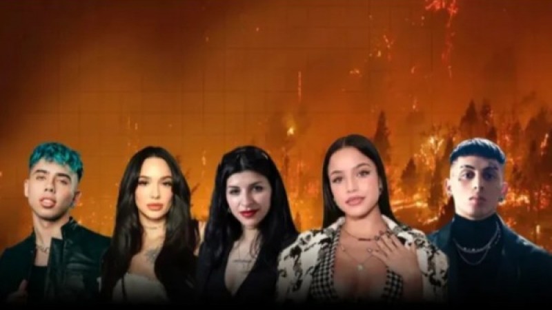 Artistas argentinos impulsaron una compra de motobombas para combatir incendios en la Patagonia