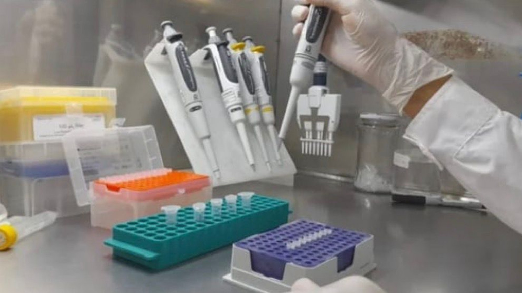 Comienzan las pericias de ADN en la causa por la violación de una adolescente en Miramar