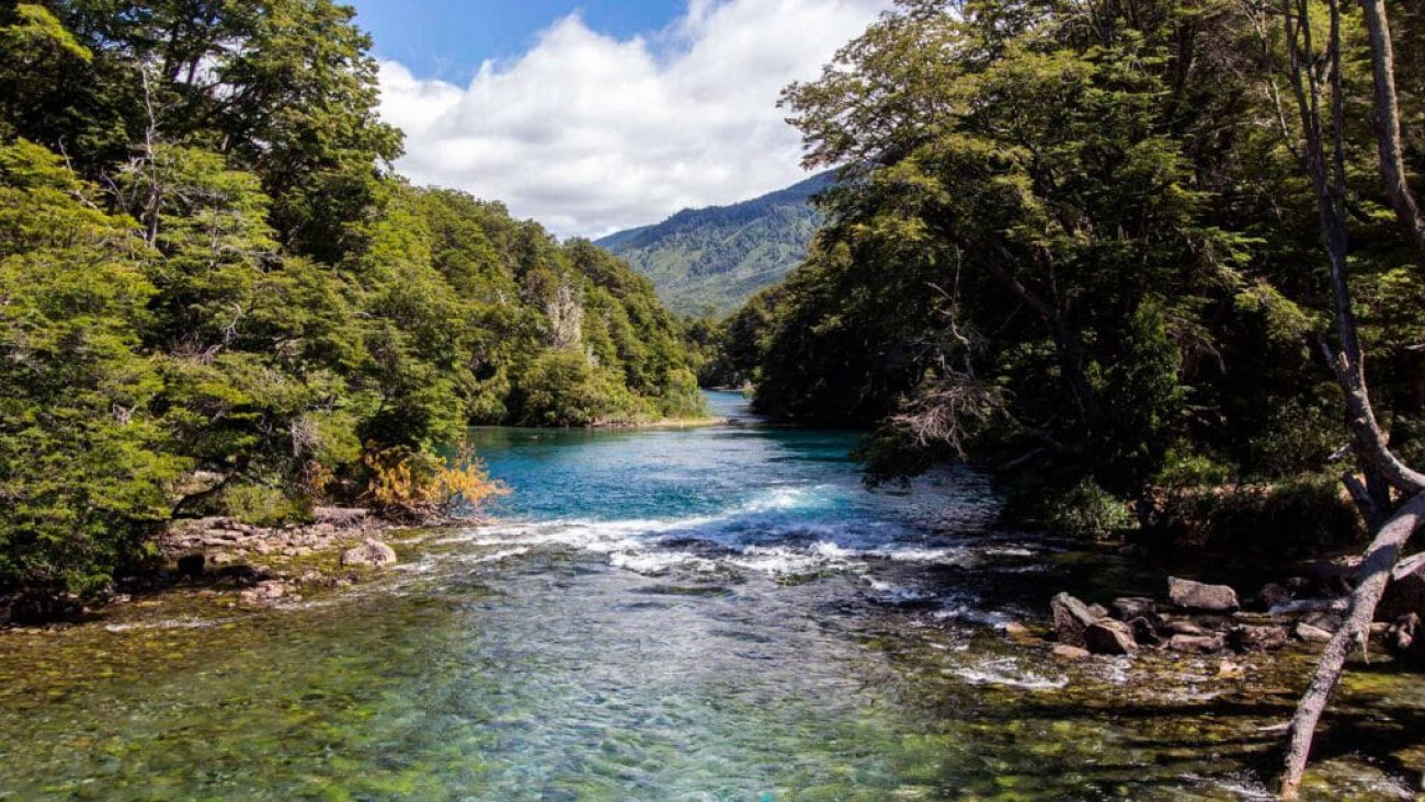 Hallaron muerta a una mujer en la zona de El Manso y se investigan las causas