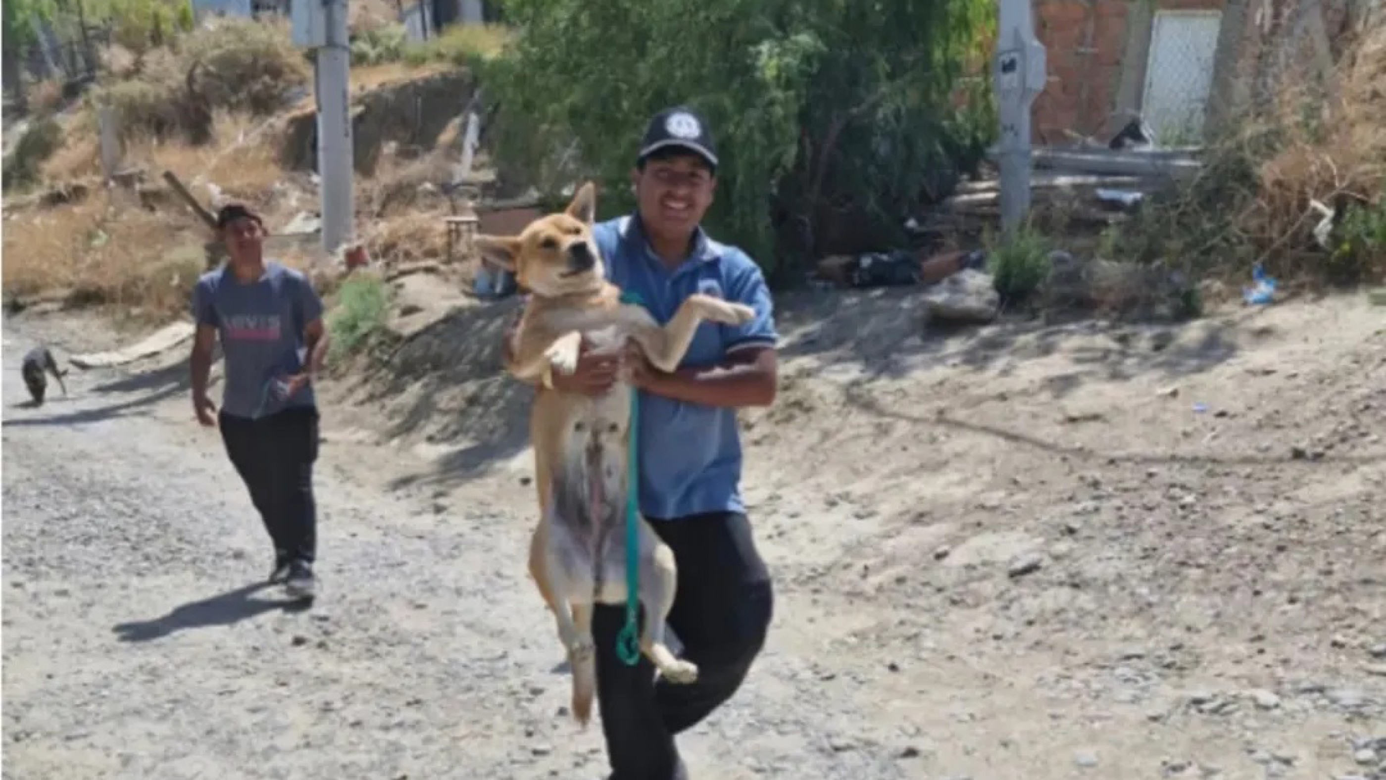 Piden tránsito y alimento para las mascotas que fueron rescatadas tras la emergencia en Sismográfica