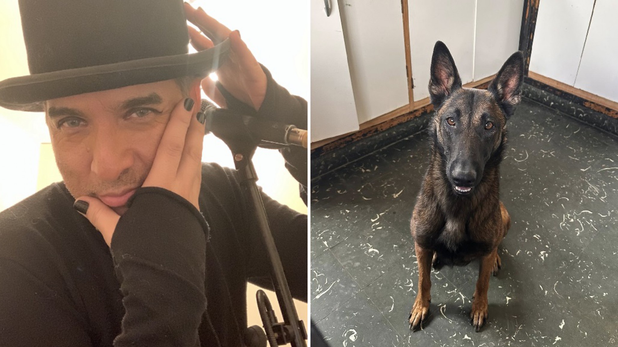 De los escenarios a las redes: El mensaje de Charly Amado para encontrar a su mascota