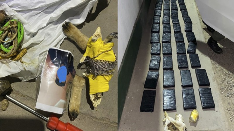 "Corte asesino": condenan en Salta a dos narcotraficantes que transportaban cocaína estirada con veneno veterinario