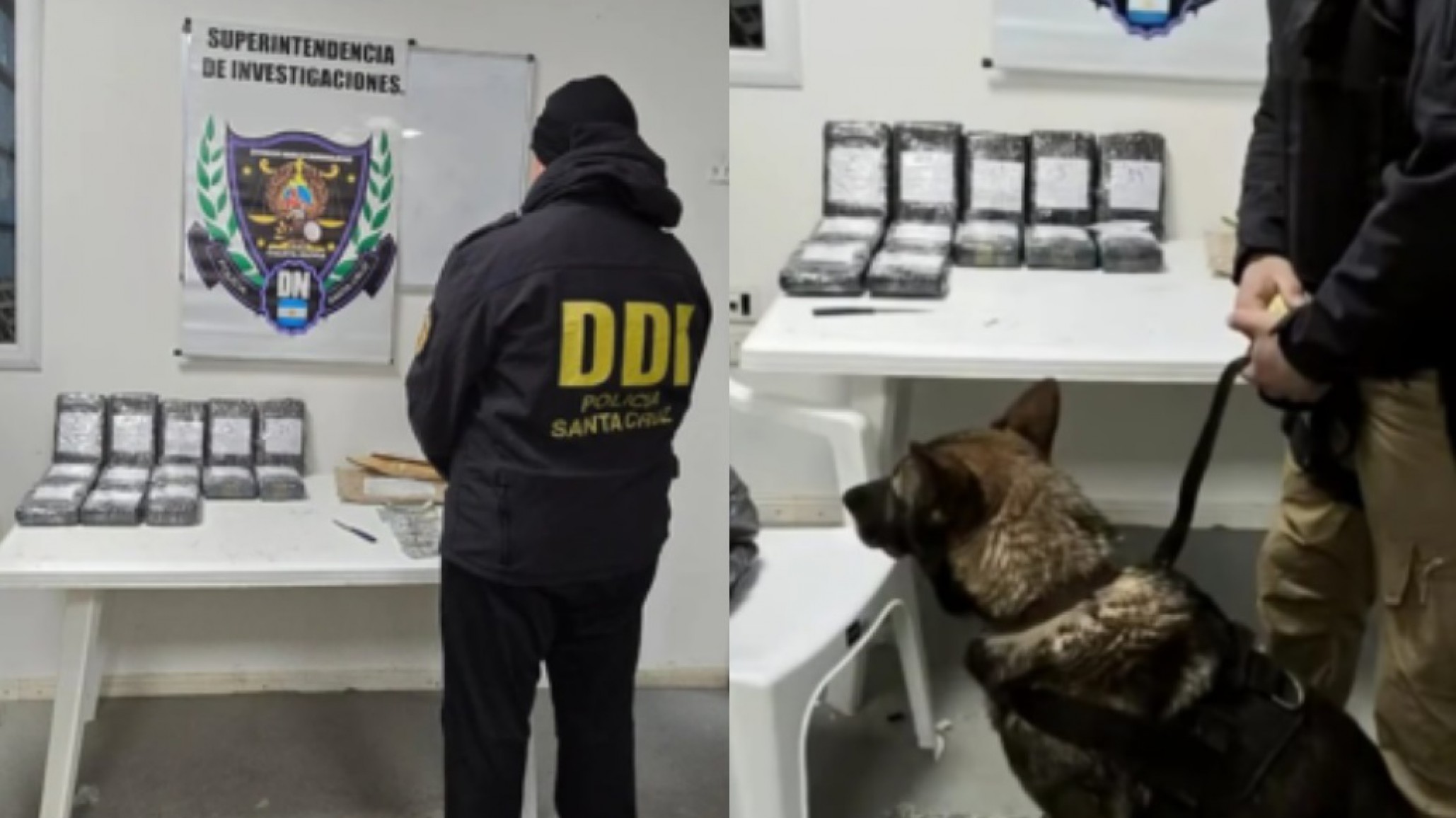 Condenan a cinco años de prisión a un camionero de Comodoro que transportaba 14 kilos de cocaína