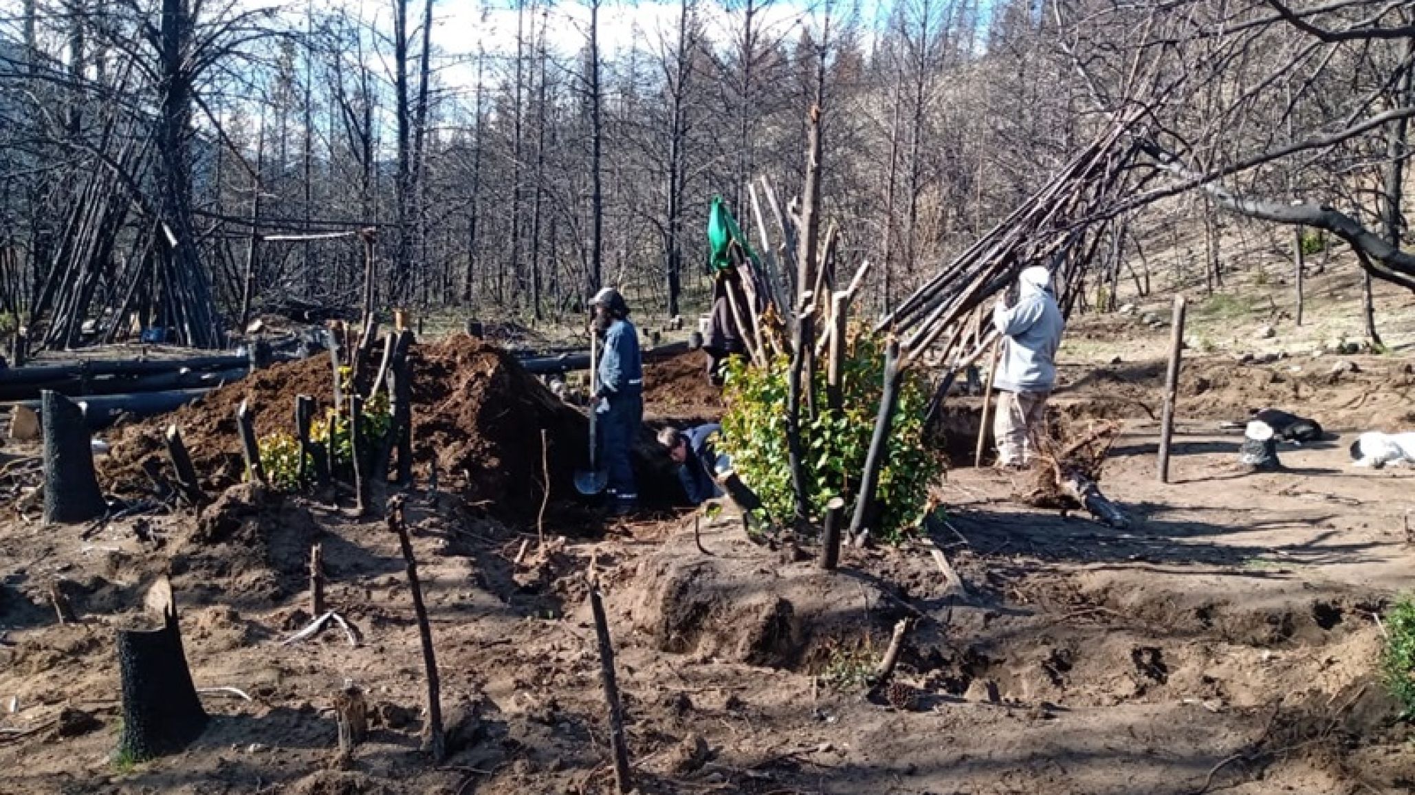 "Reconstruyendo Epuy閚": lanzan una convocatoria desesperada de voluntarios tras los incendios