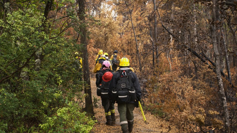 Continúa el combate del fuego en Los Alerces con mejores condiciones climáticas