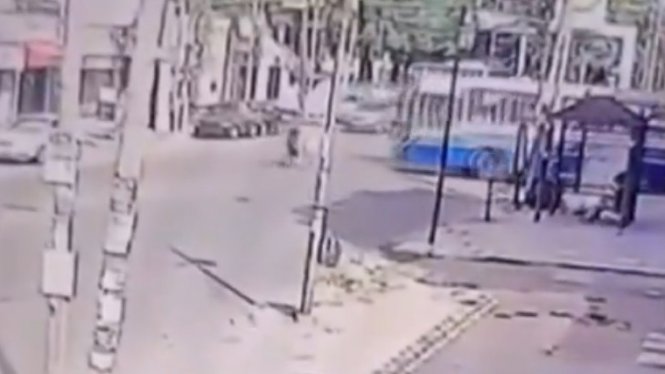 Horror en Lomas del Mirador: una nena murió aplastada por un colectivo frente a sus padres