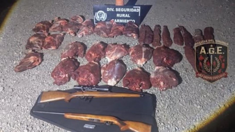 Secuestran armas y restos de cinco guanacos en un operativo sobre la Ruta Provincial 24