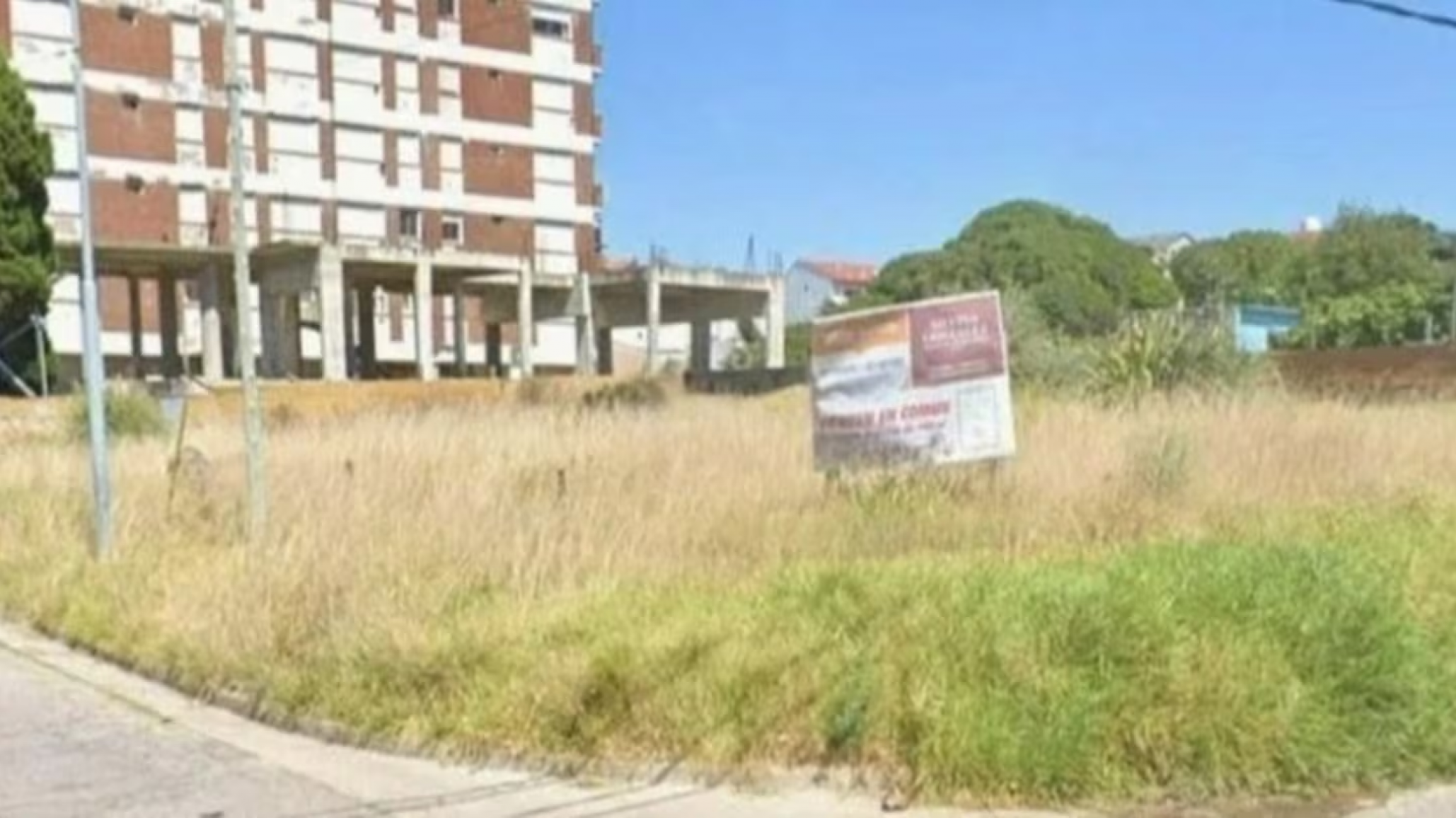 Mar del Plata: hallaron muerta a una mujer en un baldío y detuvieron a su pareja