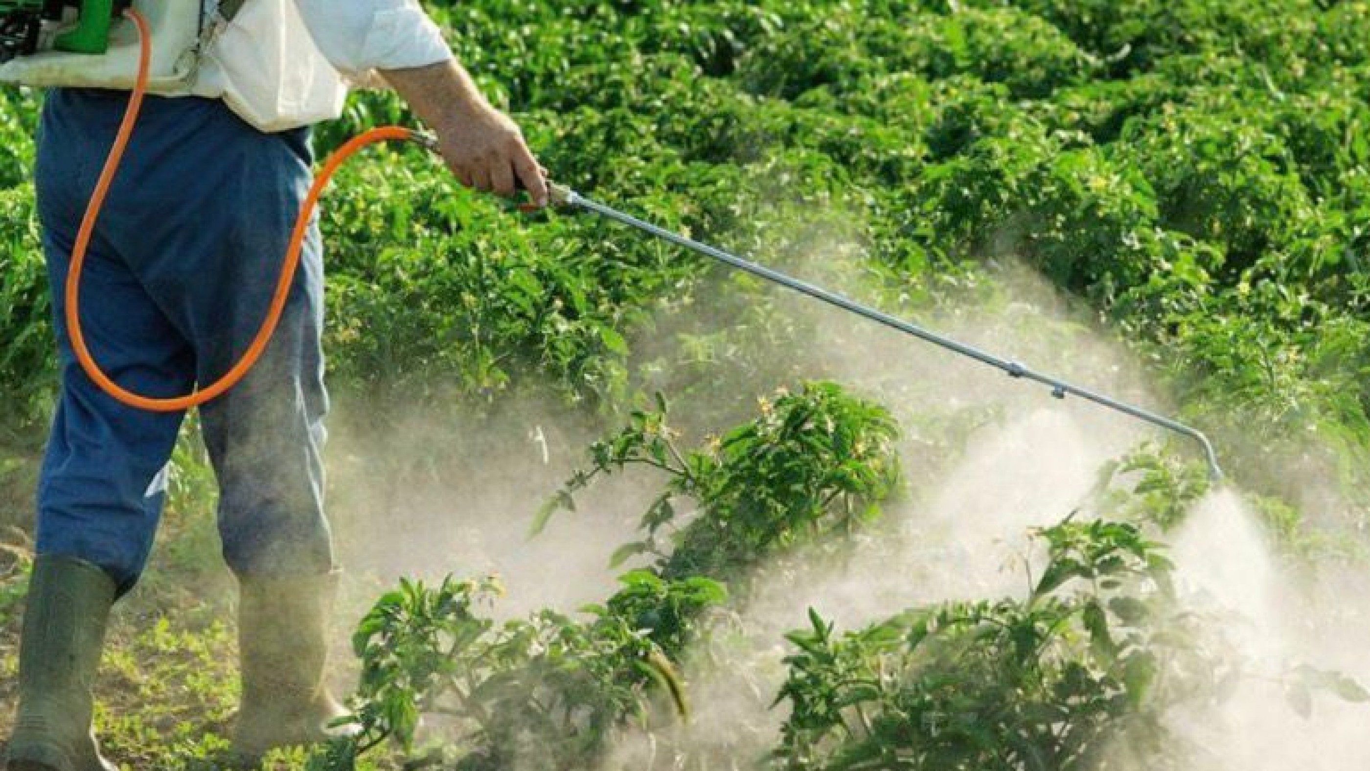 Condena histórica en Corrientes por intoxicación con agroquímicos