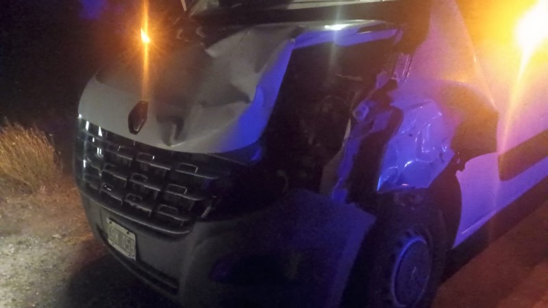 Accidente en la Ruta 3: un minibús chocó contra un caballo