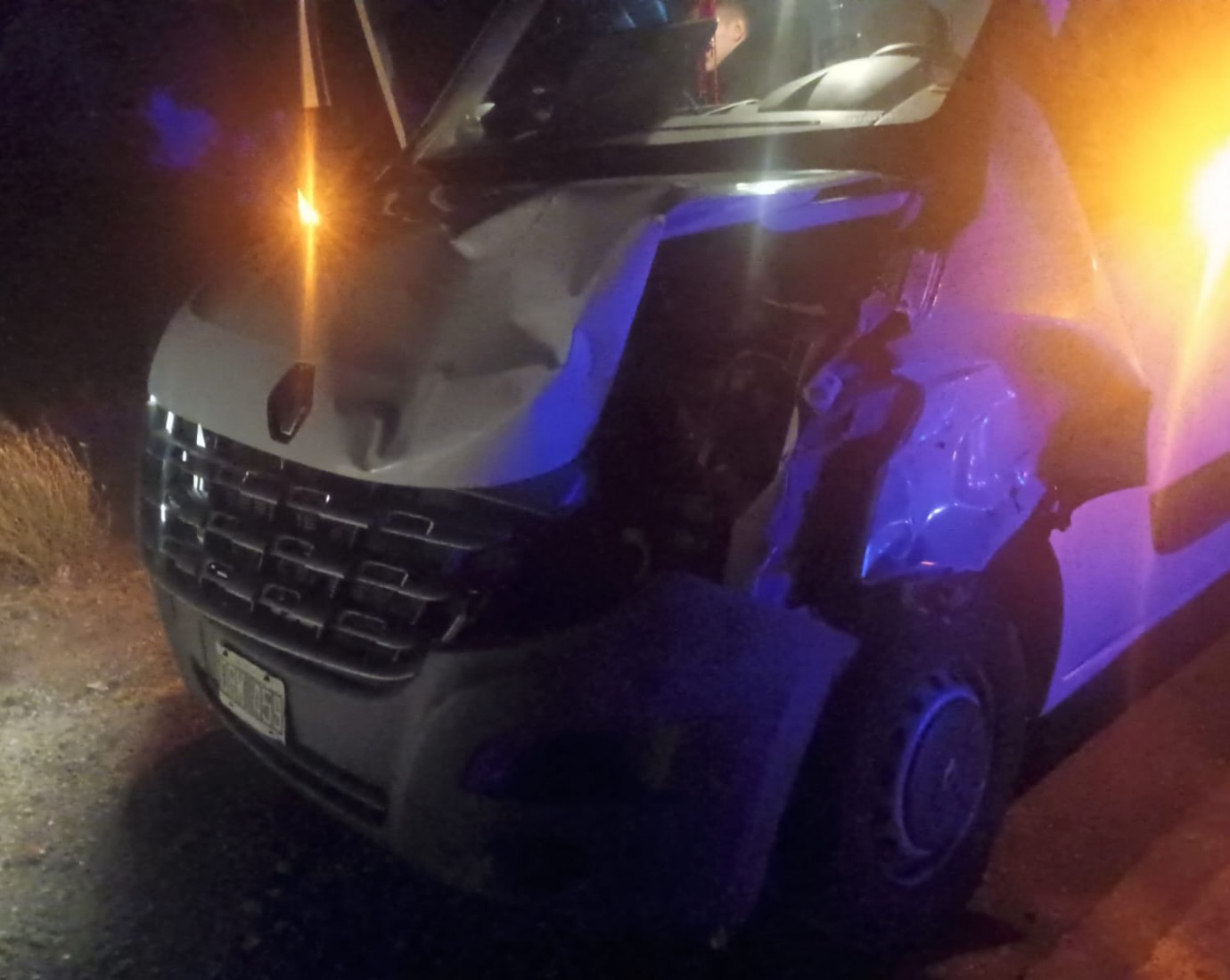 Accidente en la Ruta 3: un minibús chocó contra un caballo