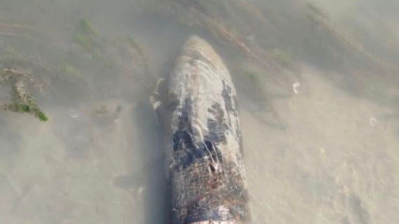 Encontraron un proyectil de artillería de 152 mm en la orilla del río Chubut