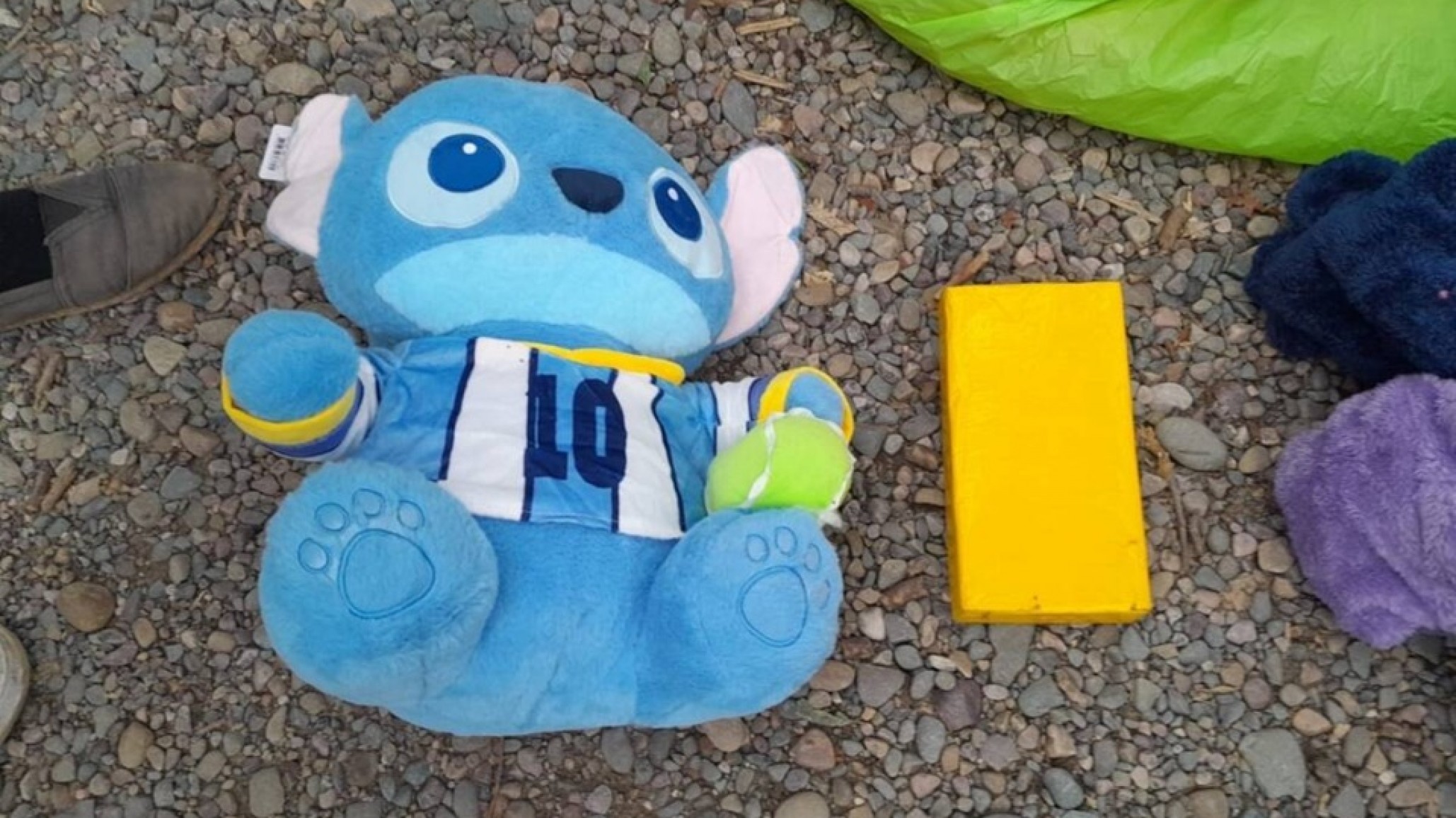 Salta: ocultaba más de un kilo de cocaína dentro de un oso de peluche