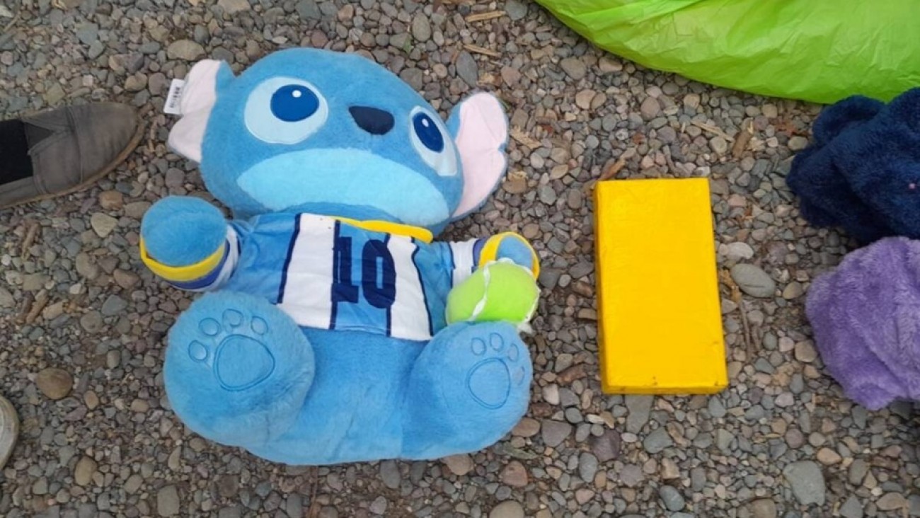 Salta: ocultaba más de un kilo de cocaína dentro de un oso de peluche