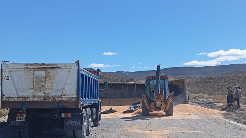 Se desprendió un acoplado de un camión y volcó en Camino Petrolero