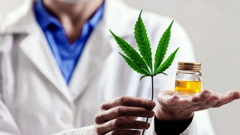 Comodoro impulsa una agenda local sobre cannabis medicinal, científico y productivo