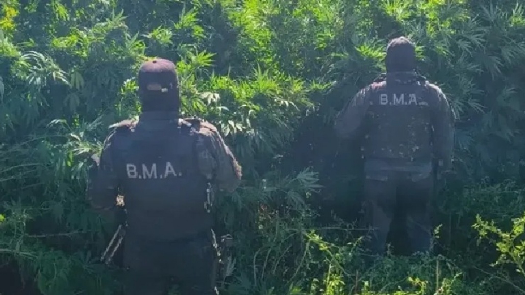 Buscaban a un joven desaparecido y descubrieron un enorme "narco-islote" en el Valle Medio