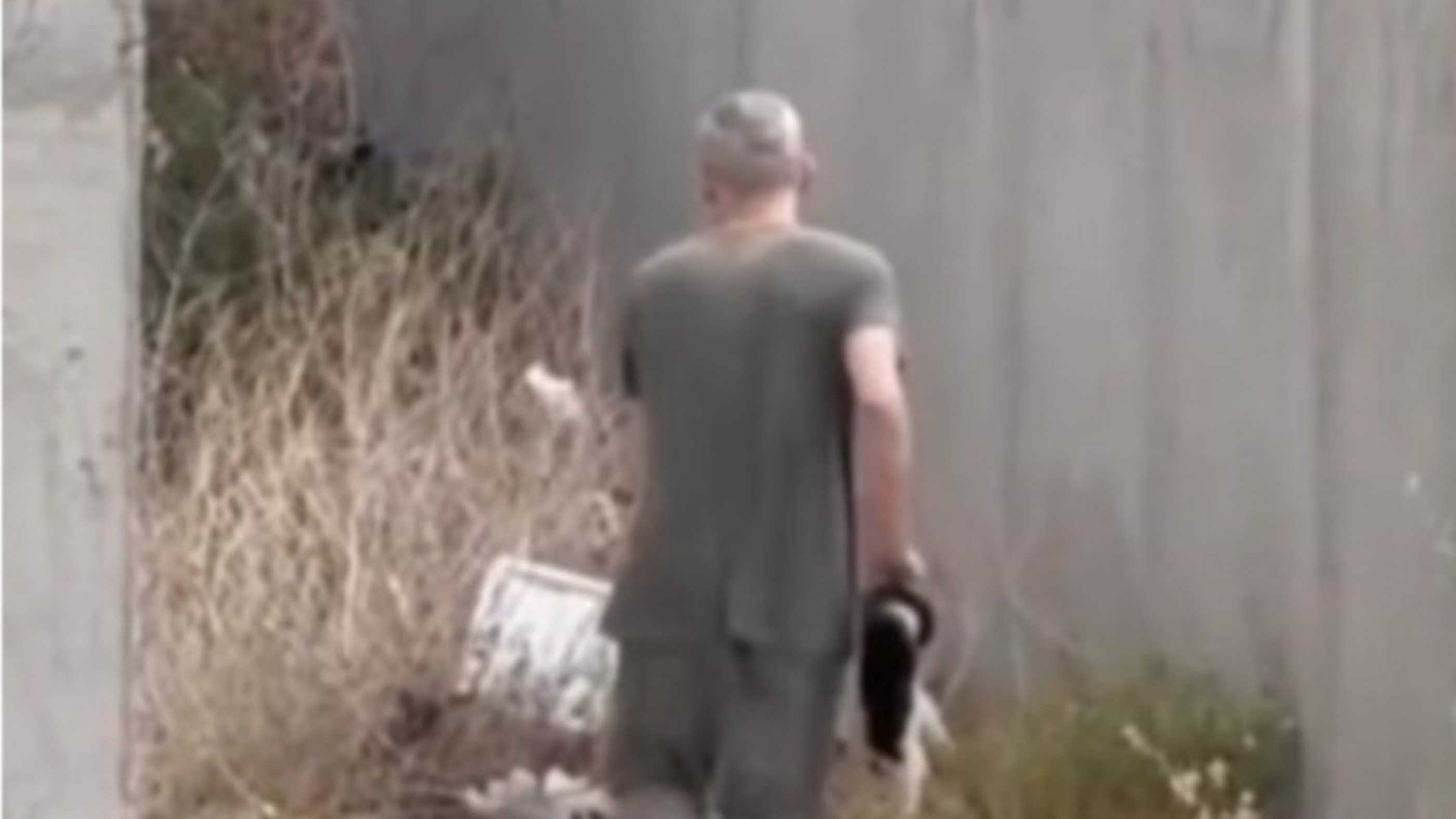 Indignación en Comodoro: filmaron a un hombre arrojando un gato contra el suelo