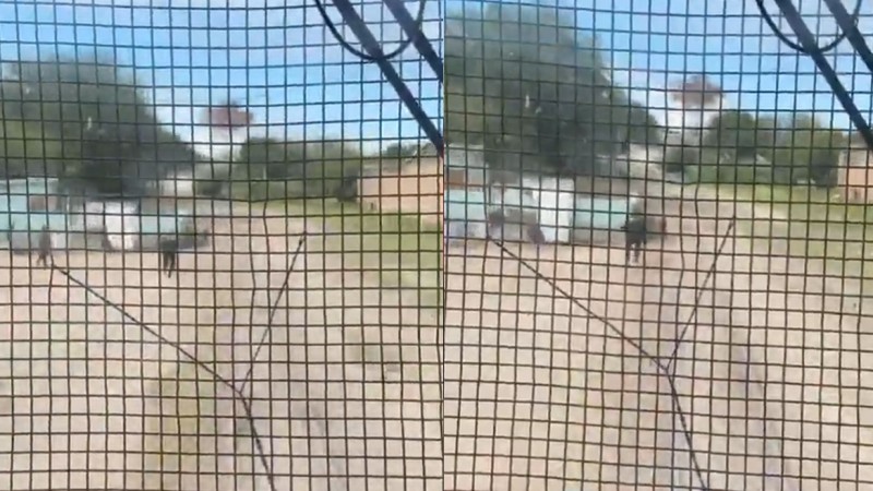 Córdoba: un policía rescató a un nene de 3 años segundos antes de ser arrollado por un tren