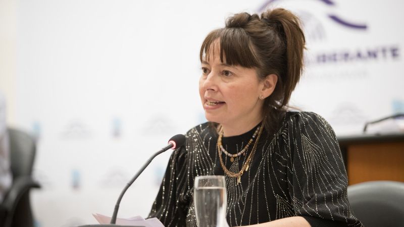 Transporte: Maite Luque reclamó que Comodoro es la ciudad que menos subsidio provincial recibe