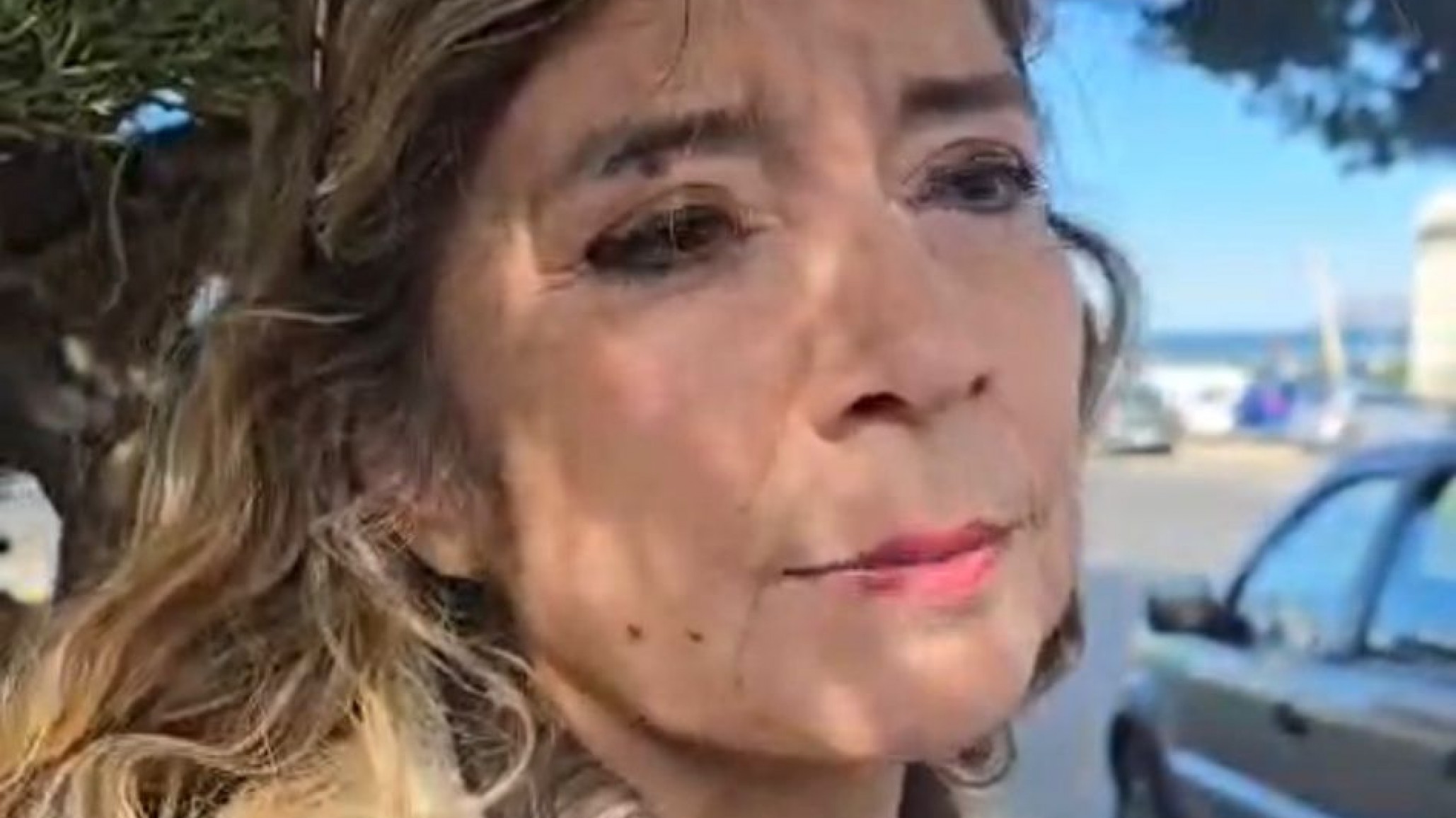 Piden ayuda urgente tras la muerte de Félix: "Hay gatitos bebés, gatas preñadas y perros solos"