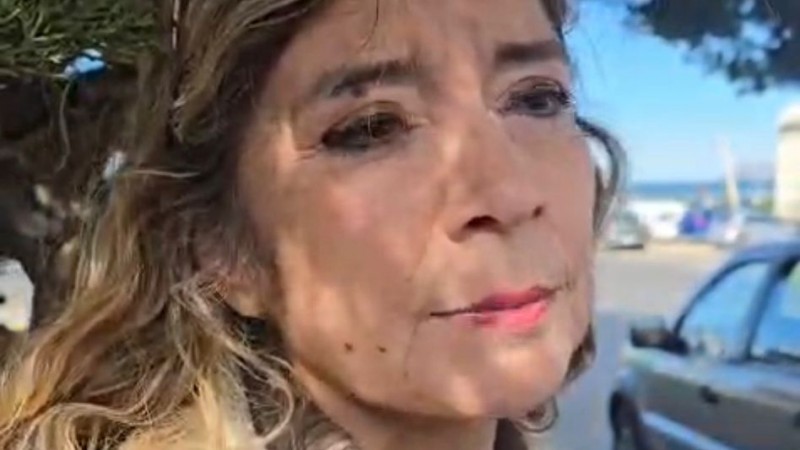 Piden ayuda urgente tras la muerte de Félix: "Hay gatitos bebés, gatas preñadas y perros solos"