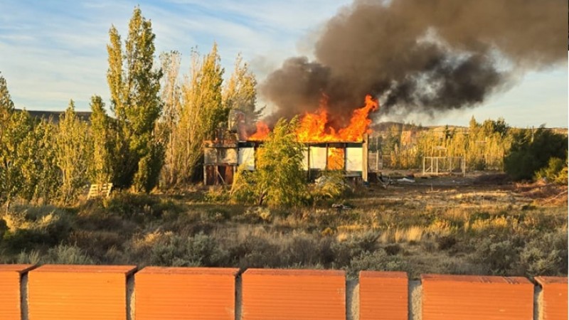 Km 17: confirman que una perra y sus cachorros murieron en el incendio de la vivienda