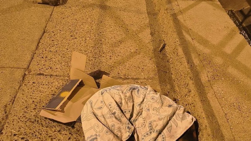Atropellaron a un perro en Comodoro y piden ayuda urgente para salvarlo