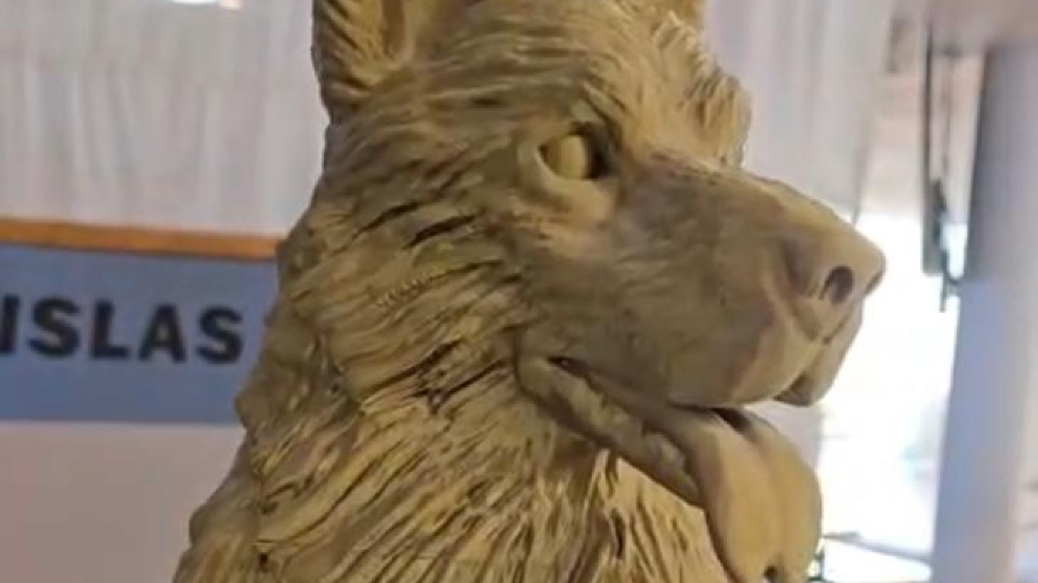 La historia de Mortero, el perro que acompañó a una unidad en Malvinas