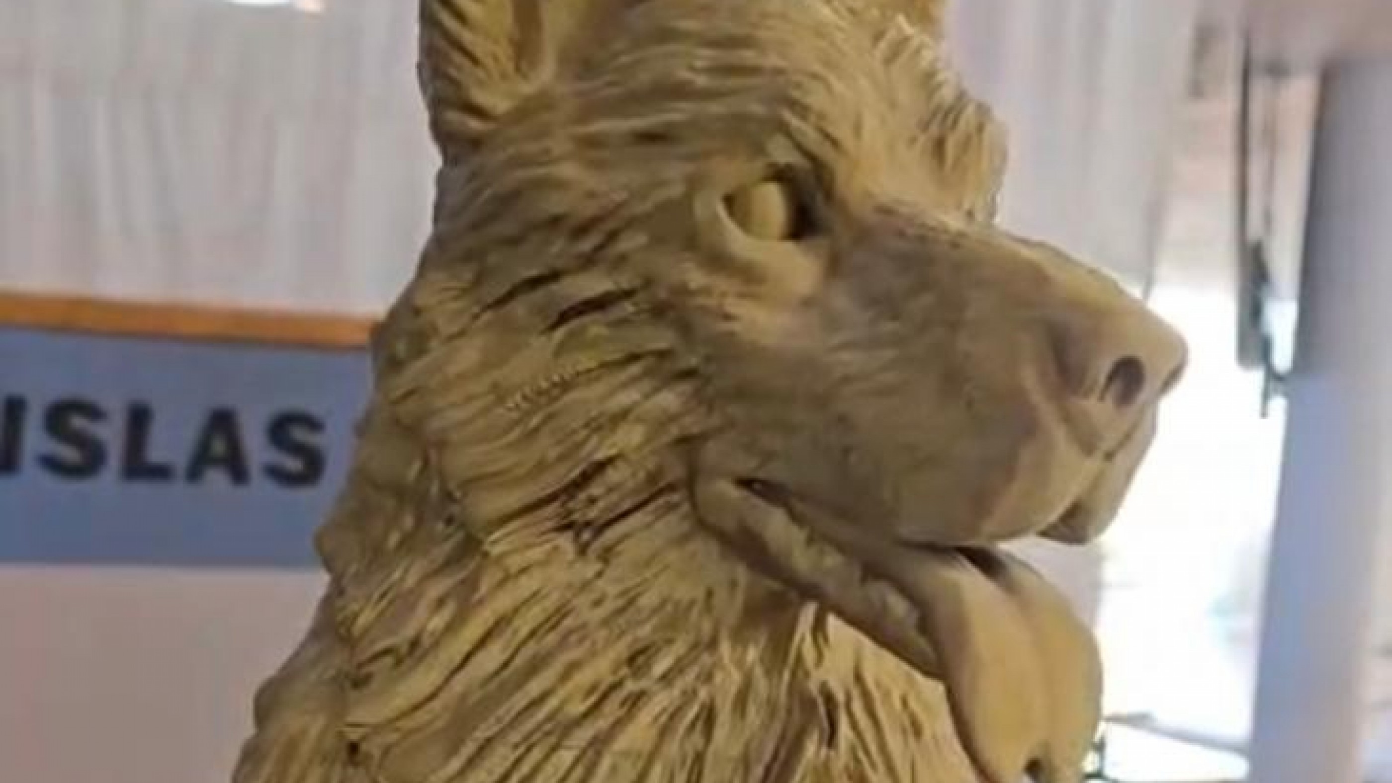 La historia de Mortero, el perro que acompañó a una unidad en Malvinas