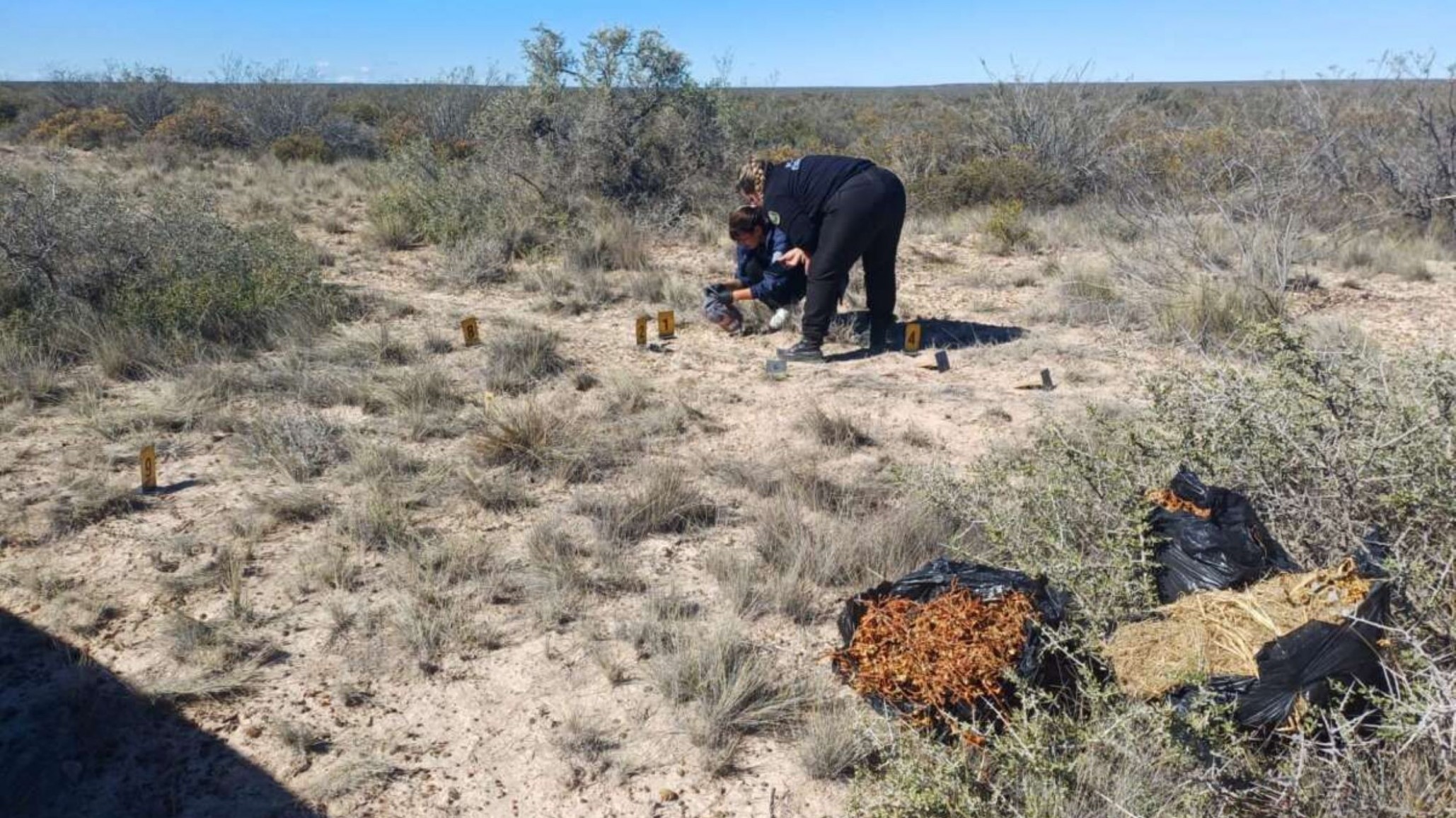 Homicidio en Puerto Madryn: murió el hombre que había sido baleado en cercanías a la Ruta 3