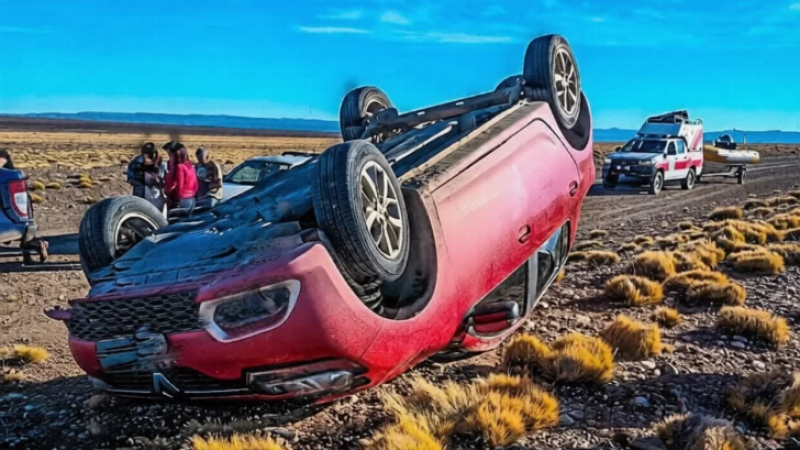 Ruta 29: Esquivó un guanaco, volcó y fue hospitalizada