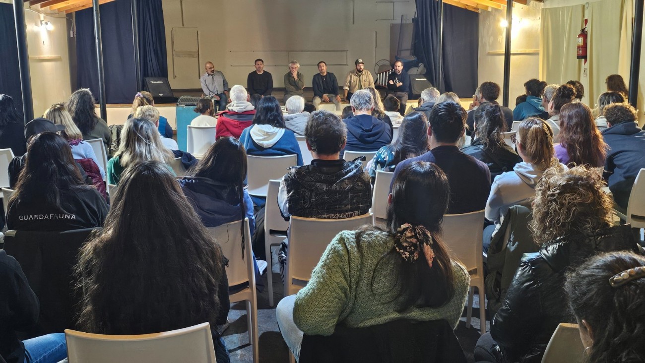 El fenómeno de la ballena Sei: Comodoro y Rada Tilly proyectan su potencial turístico en la costa chubutense