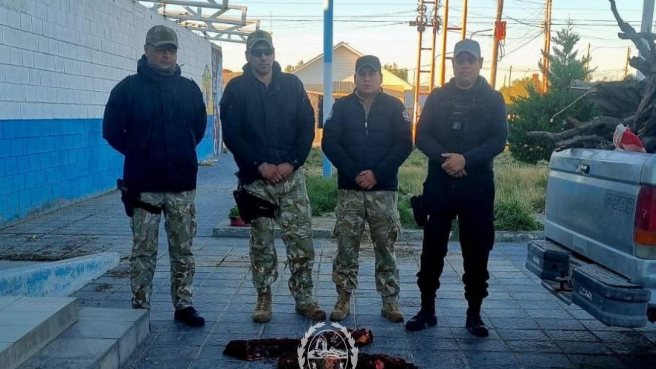 Secuestran carne ilegal, armas y vehículos en operativos rurales