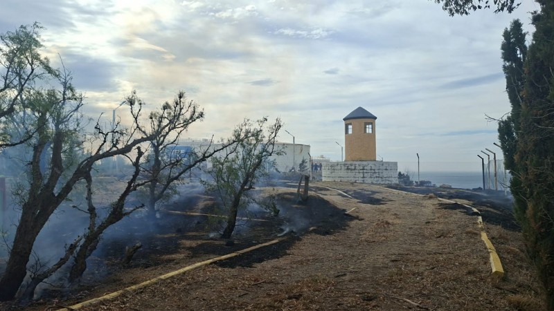 Fuego y humo en la zona de playa de tanques: un incendio de pastizales generó alarma