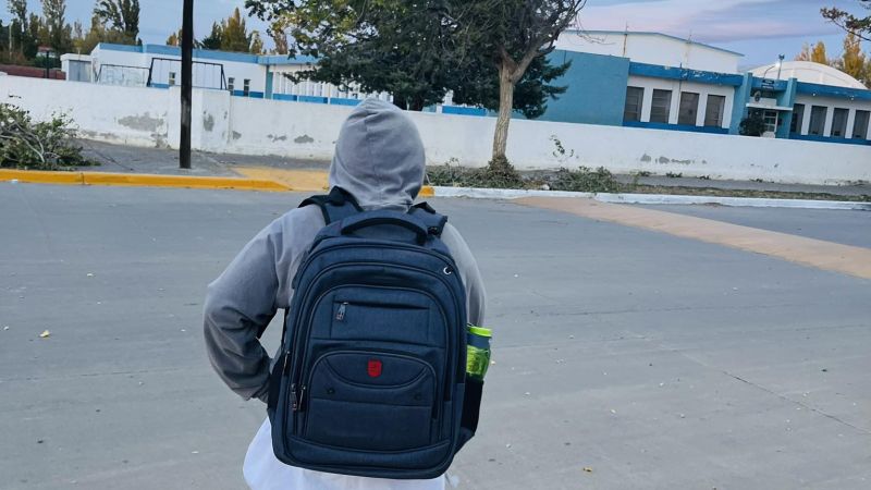 "Tuvo que dejar la escuela para cuidar su salud mental": el fuerte mensaje de una madre tras un caso de bullying