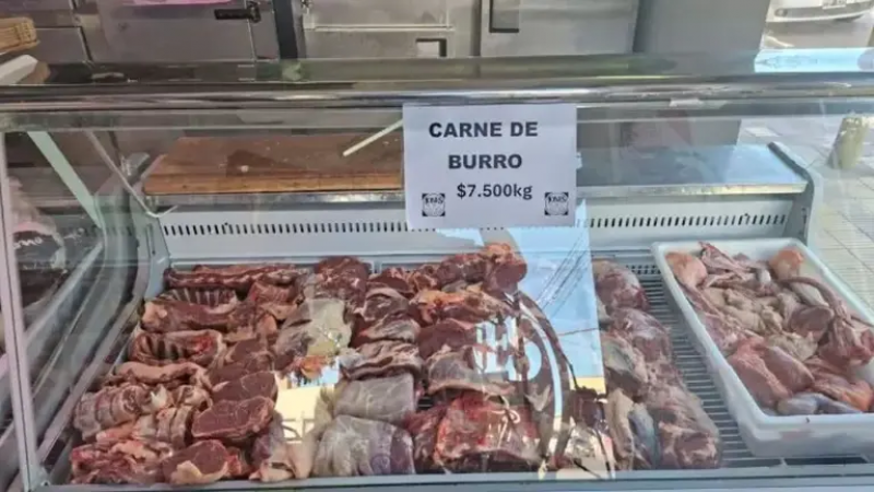 Carne de burro en Chubut: "Es de excelente calidad y puede ser mucho más económica que la vacuna"