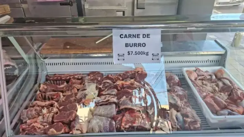 Carne de burro en Chubut: "Es de excelente calidad y puede ser mucho más económica que la vacuna"
