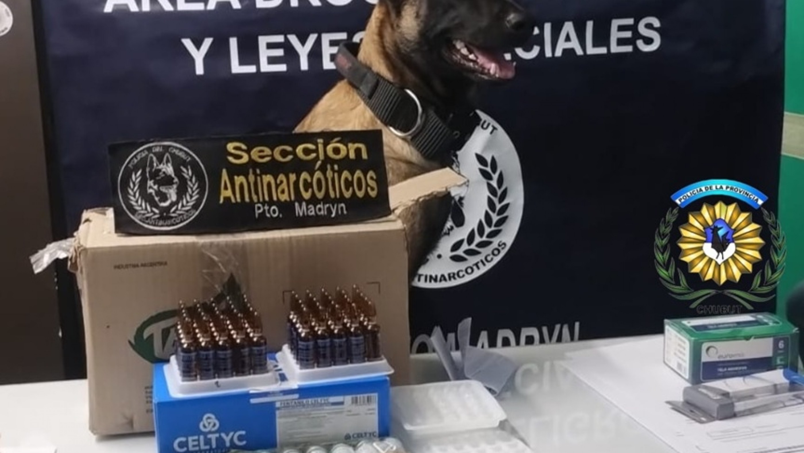 Fentanilo y "Tussi" en Chubut: un perro antinarcóticos detectó una encomienda letal