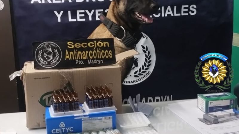 Fentanilo y "Tussi" en Chubut: un perro antinarcóticos detectó una encomienda letal